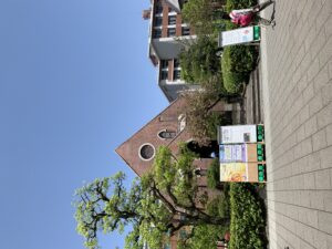 20240419_031932558_iOS