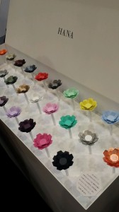 20151127_113006_215 (360x640)